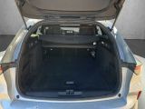 Opel Astra bei Gebrauchtwagen.expert - Abbildung (14 / 15) Opel Astra bei Gebrauchtwagen.expert - Abbildung (14 / 15)