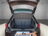 Seat Leon bei Gebrauchtwagen.expert - Abbildung (14 / 15) Seat Leon bei Gebrauchtwagen.expert - Abbildung (14 / 15)