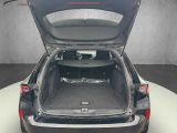 Opel Astra bei Gebrauchtwagen.expert - Abbildung (14 / 15) Opel Astra bei Gebrauchtwagen.expert - Abbildung (14 / 15)