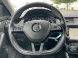 Skoda Octavia bei Gebrauchtwagen.expert - Abbildung (9 / 15)