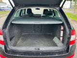 Skoda Octavia bei Gebrauchtwagen.expert - Abbildung (7 / 15)