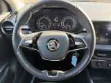 Skoda Fabia bei Gebrauchtwagen.expert - Abbildung (14 / 15)