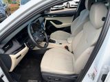 Skoda Octavia bei Gebrauchtwagen.expert - Abbildung (11 / 15)