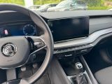 Skoda Octavia bei Gebrauchtwagen.expert - Abbildung (14 / 15)