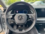Skoda Octavia bei Gebrauchtwagen.expert - Abbildung (13 / 15)