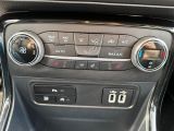 Ford EcoSport bei Gebrauchtwagen.expert - Abbildung (15 / 15)
