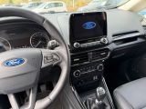 Ford EcoSport bei Gebrauchtwagen.expert - Abbildung (13 / 15)