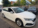 Skoda Octavia bei Gebrauchtwagen.expert - Abbildung (3 / 15)