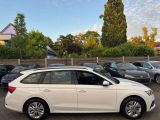 Skoda Octavia bei Gebrauchtwagen.expert - Abbildung (7 / 15)