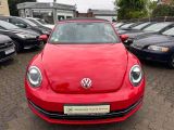 VW Beetle bei Gebrauchtwagen.expert - Abbildung (2 / 15)
