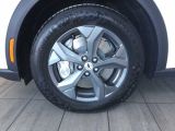 Ford Mustang Mach-E bei Gebrauchtwagen.expert - Abbildung (15 / 15)