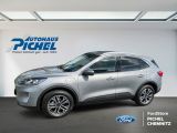 Ford Kuga bei Gebrauchtwagen.expert - Abbildung (2 / 9)