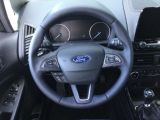 Ford EcoSport bei Gebrauchtwagen.expert - Abbildung (12 / 15)