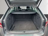 Skoda Superb bei Gebrauchtwagen.expert - Abbildung (12 / 15)