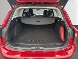 Ford Focus Turnier bei Gebrauchtwagen.expert - Abbildung (12 / 15) Ford Focus Turnier bei Gebrauchtwagen.expert - Abbildung (12 / 15)