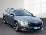 Skoda Octavia bei Gebrauchtwagen.expert - Abbildung (7 / 15)