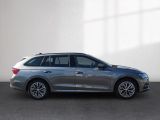 Skoda Octavia bei Gebrauchtwagen.expert - Abbildung (6 / 15) Skoda Octavia bei Gebrauchtwagen.expert - Abbildung (6 / 15)