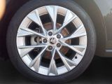 Skoda Superb bei Gebrauchtwagen.expert - Abbildung (14 / 15)