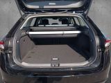 Skoda Superb bei Gebrauchtwagen.expert - Abbildung (10 / 15)