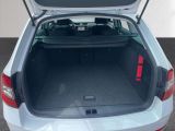 Skoda Octavia bei Gebrauchtwagen.expert - Abbildung (12 / 15) Skoda Octavia bei Gebrauchtwagen.expert - Abbildung (12 / 15)