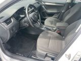 Skoda Octavia bei Gebrauchtwagen.expert - Abbildung (13 / 15) Skoda Octavia bei Gebrauchtwagen.expert - Abbildung (13 / 15)
