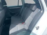 Skoda Octavia bei Gebrauchtwagen.expert - Abbildung (14 / 15) Skoda Octavia bei Gebrauchtwagen.expert - Abbildung (14 / 15)