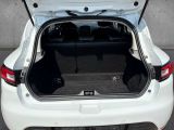 Renault Clio bei Gebrauchtwagen.expert - Abbildung (10 / 15)