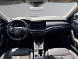 Skoda Octavia bei Gebrauchtwagen.expert - Abbildung (15 / 15) Skoda Octavia bei Gebrauchtwagen.expert - Abbildung (15 / 15)