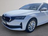 Skoda Octavia bei Gebrauchtwagen.expert - Abbildung (9 / 15) Skoda Octavia bei Gebrauchtwagen.expert - Abbildung (9 / 15)