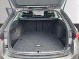 Skoda Octavia bei Gebrauchtwagen.expert - Abbildung (12 / 15) Skoda Octavia bei Gebrauchtwagen.expert - Abbildung (12 / 15)