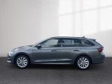 Skoda Octavia bei Gebrauchtwagen.expert - Abbildung (2 / 15) Skoda Octavia bei Gebrauchtwagen.expert - Abbildung (2 / 15)