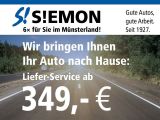 VW Transporter bei Gebrauchtwagen.expert - Abbildung (2 / 3)