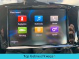 Renault Clio bei Gebrauchtwagen.expert - Abbildung (15 / 15)