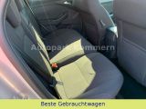 Ford Focus Turnier bei Gebrauchtwagen.expert - Abbildung (9 / 15)