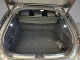 Audi A5 bei Gebrauchtwagen.expert - Abbildung (9 / 15)