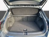 VW T-Roc bei Gebrauchtwagen.expert - Abbildung (11 / 15)