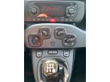 Fiat Panda bei Gebrauchtwagen.expert - Abbildung (6 / 10)