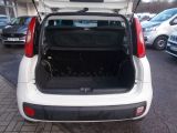 Fiat Panda bei Gebrauchtwagen.expert - Abbildung (9 / 14)