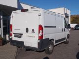 Fiat Ducato bei Gebrauchtwagen.expert - Abbildung (5 / 14) Fiat Ducato bei Gebrauchtwagen.expert - Abbildung (5 / 14)