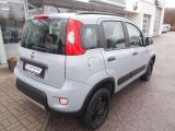 Fiat Panda bei Gebrauchtwagen.expert - Abbildung (5 / 13)