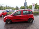 Fiat Panda bei Gebrauchtwagen.expert - Abbildung (7 / 12)