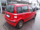 Fiat Panda bei Gebrauchtwagen.expert - Abbildung (4 / 12)