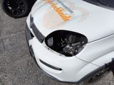 Fiat Panda bei Gebrauchtwagen.expert - Abbildung (12 / 13)