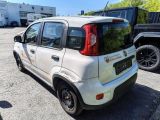 Fiat Panda bei Gebrauchtwagen.expert - Abbildung (6 / 13)