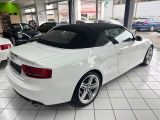 Audi A5 Cabriolet bei Gebrauchtwagen.expert - Abbildung (12 / 15)