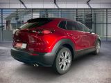 Mazda CX-30 bei Gebrauchtwagen.expert - Abbildung (5 / 15)