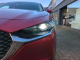 Mazda CX-30 bei Gebrauchtwagen.expert - Abbildung (7 / 15)
