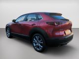Mazda CX-30 bei Gebrauchtwagen.expert - Abbildung (5 / 15)