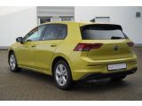 VW Golf VIII bei Gebrauchtwagen.expert - Abbildung (8 / 15)