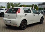 Fiat Punto bei Gebrauchtwagen.expert - Abbildung (6 / 15)